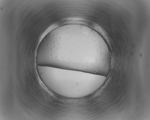 X0000083981386200702160742