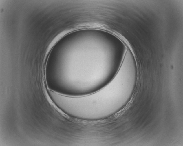 X0000083981389200702160742