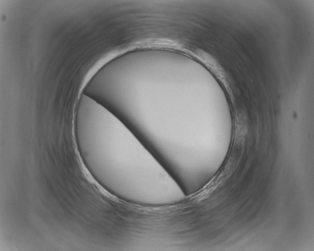 X0000083981390200702160742