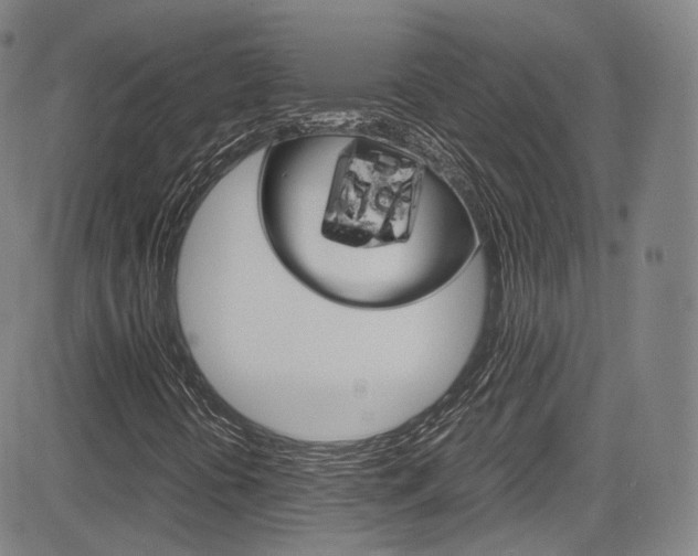 X0000083981394200702160741