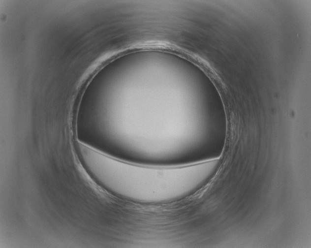 X0000083981422200702160741