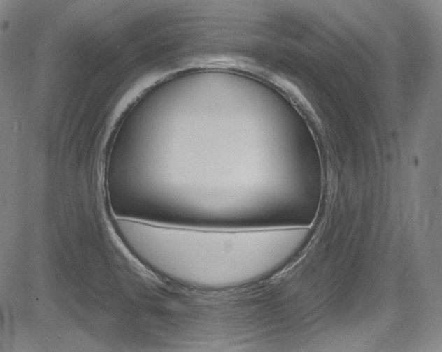 X0000083981424200702160741