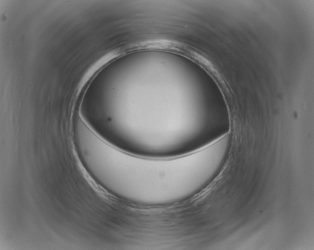 X0000083981426200702160741