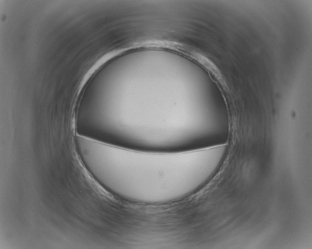 X0000083981428200702160741