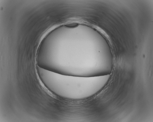 X0000083981431200702160741