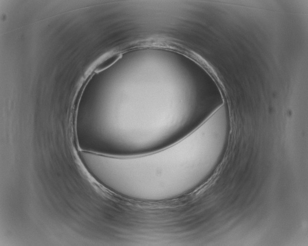 X0000083981434200702160741