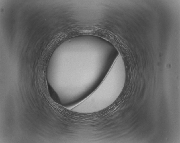 X0000083981441200702160741