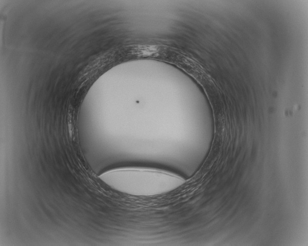 X0000083981442200702160741