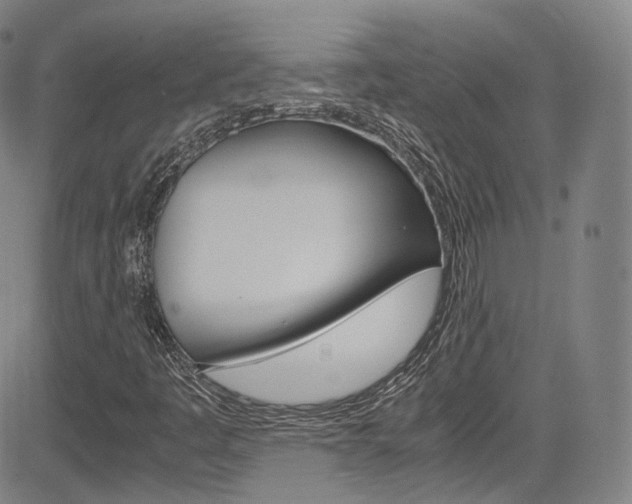 X0000083981445200702160741
