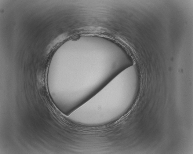 X0000083981451200702160741