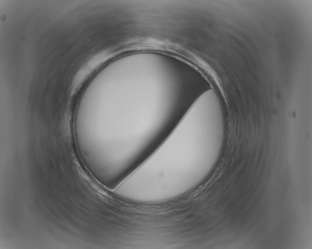 X0000083981464200702160740