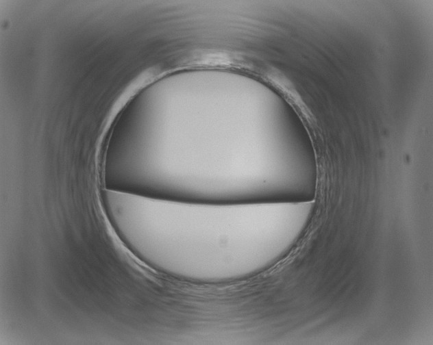 X0000083981475200702160740