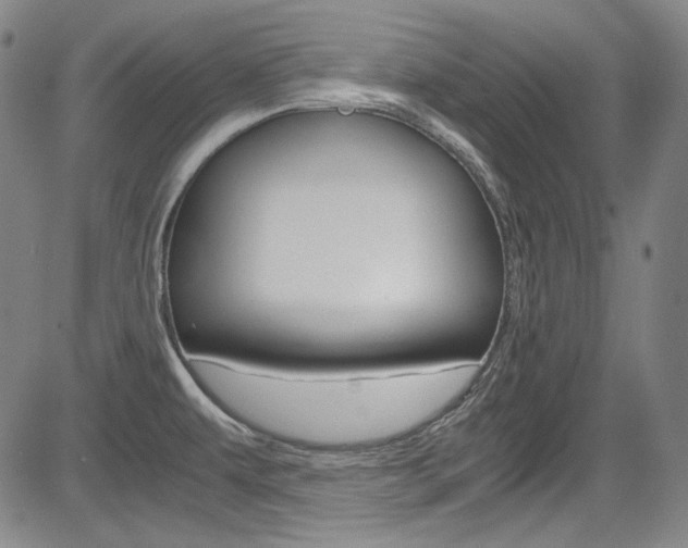 X0000083981479200702160740