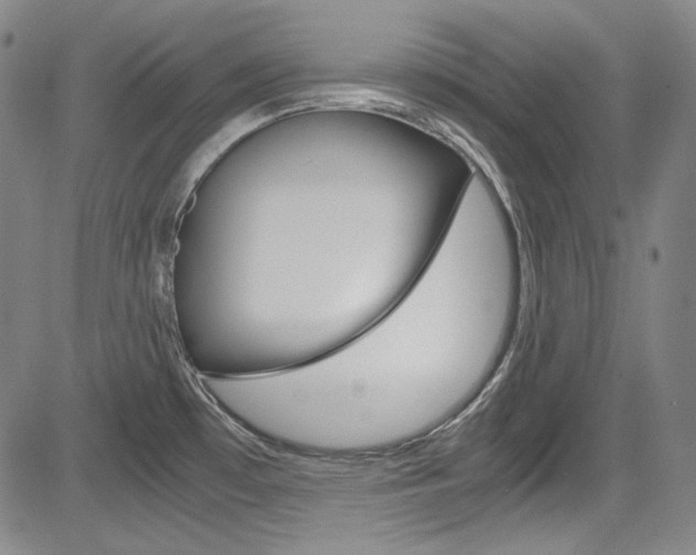 X0000083981481200702160740