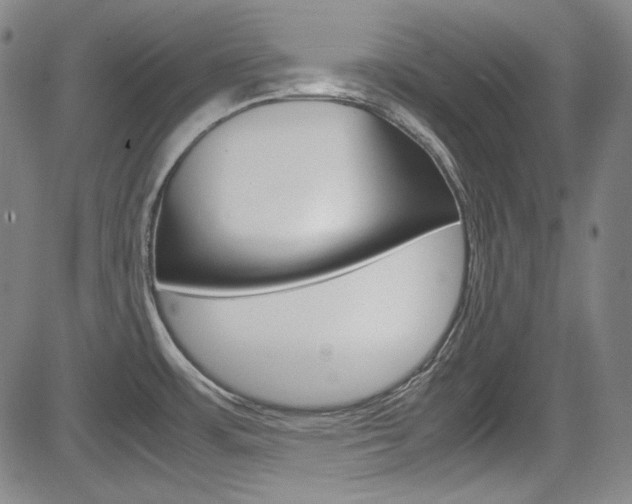 X0000083981483200702160740