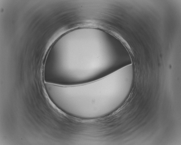 X0000083981484200702160740