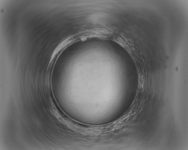 X0000083980004200702161115