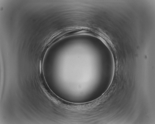 X0000083980013200702161115