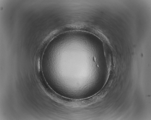 X0000083980020200702161115