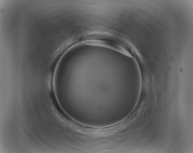 X0000083980023200702161115