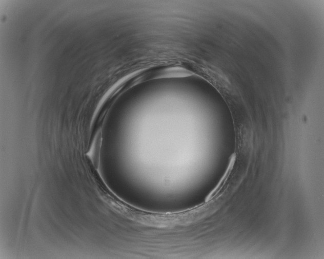 X0000083980033200702161115
