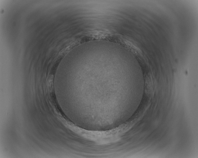 X0000083980034200702161115