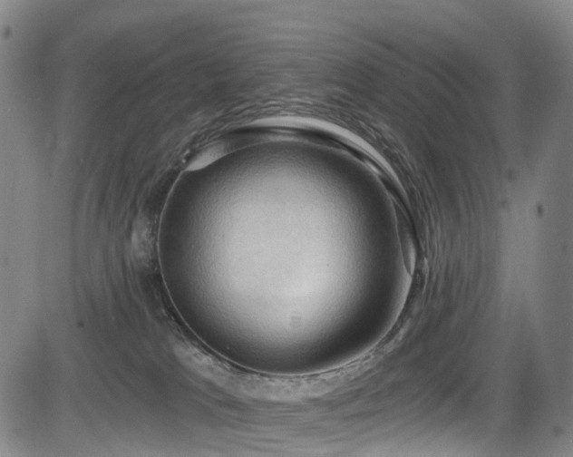X0000083980037200702161115
