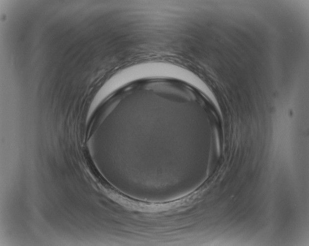 X0000083980039200702161114
