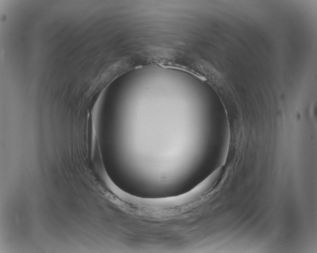 X0000083980041200702161114
