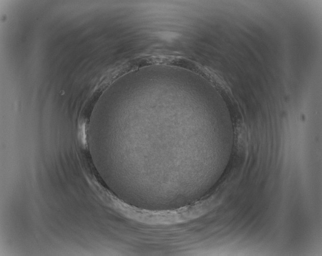 X0000083980042200702161114