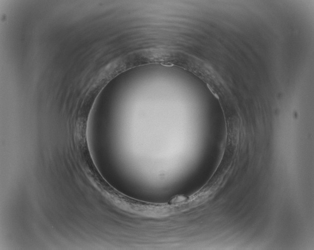 X0000083980044200702161114