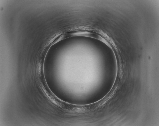 X0000083980057200702161114