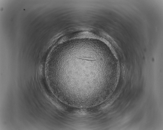 X0000083980071200702161114