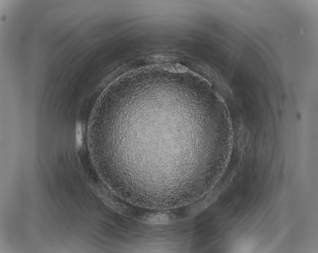 X0000083980075200702161114