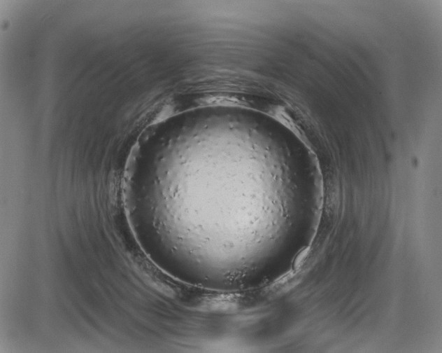X0000083980078200702161114
