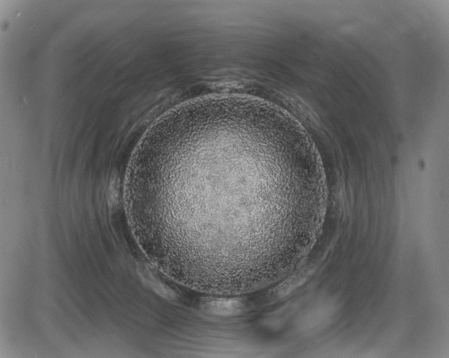 X0000083980081200702161114