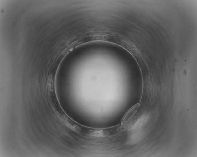 X0000083980083200702161114