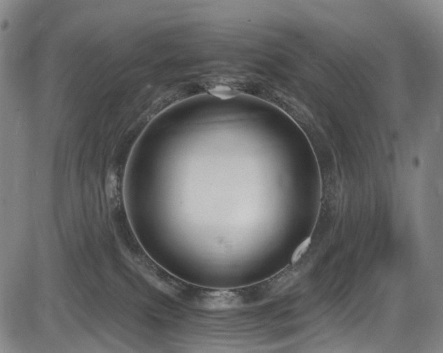 X0000083980087200702161114