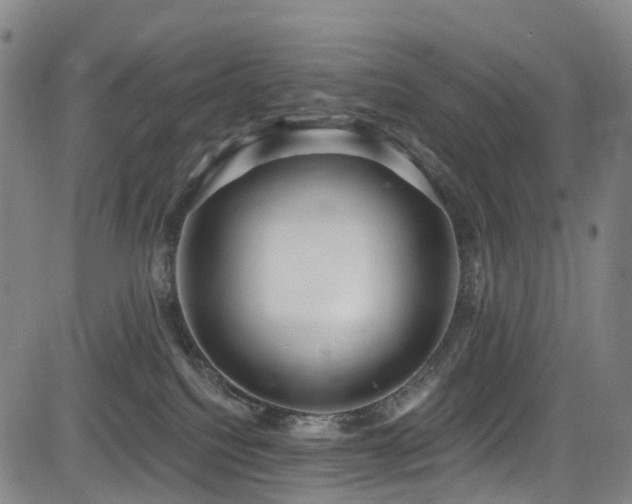 X0000083980088200702161114