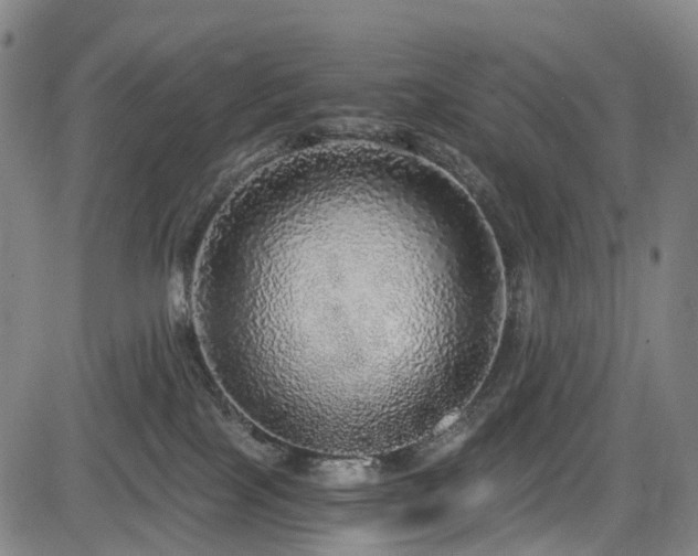 X0000083980089200702161114