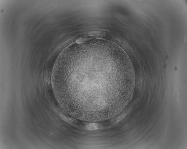 X0000083980091200702161114