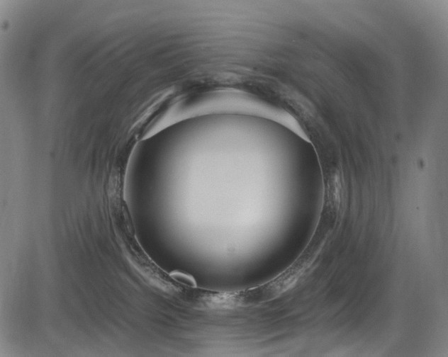 X0000083980092200702161114