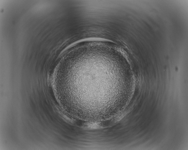 X0000083980093200702161114