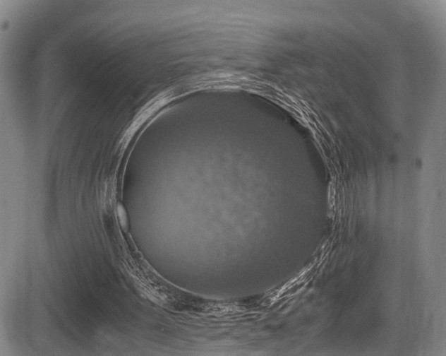 X0000083980099200702161114
