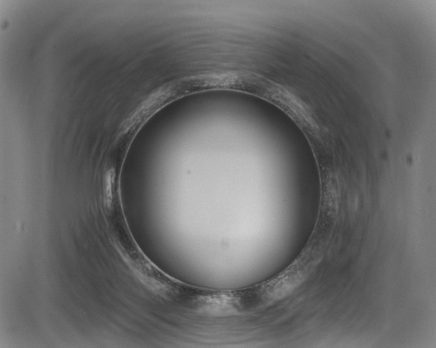 X0000083980118200702161113