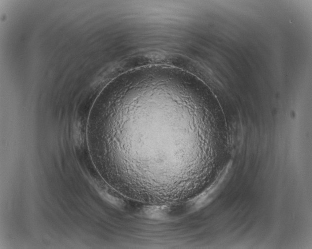 X0000083980136200702161113
