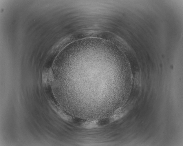 X0000083980138200702161113