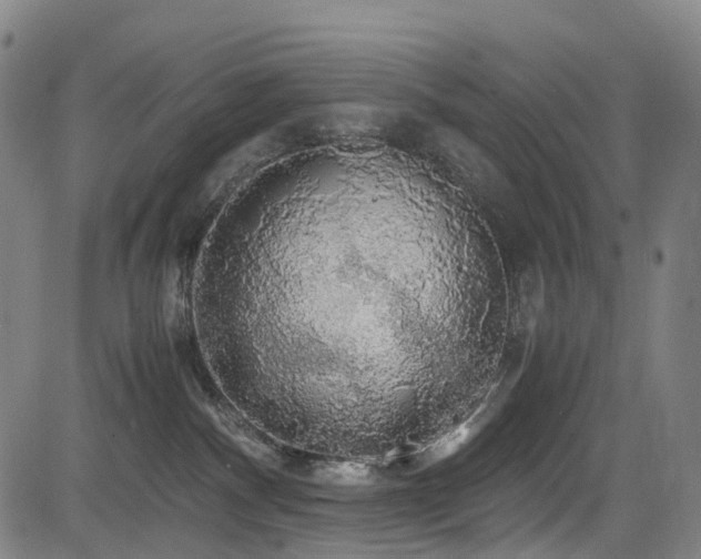 X0000083980140200702161113