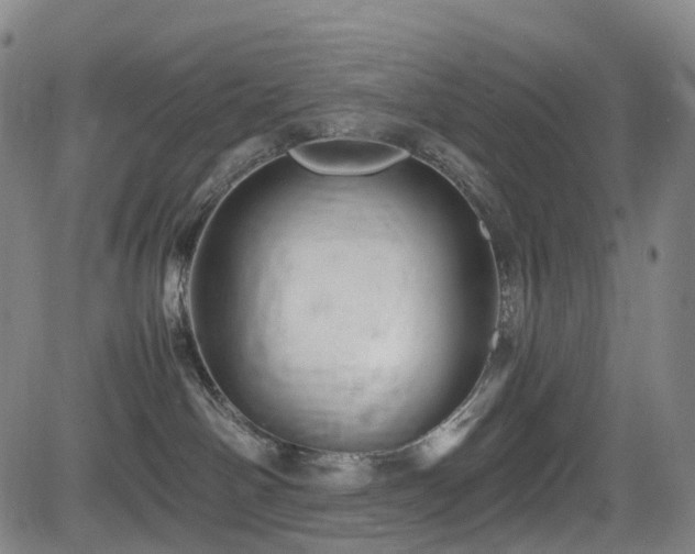 X0000083980142200702161113