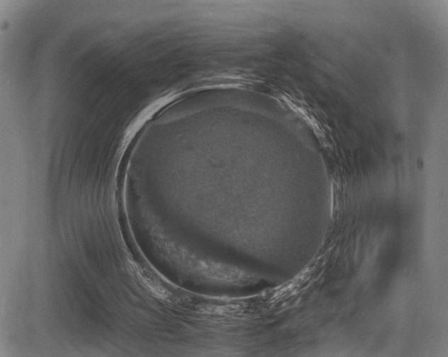 X0000083980147200702161112